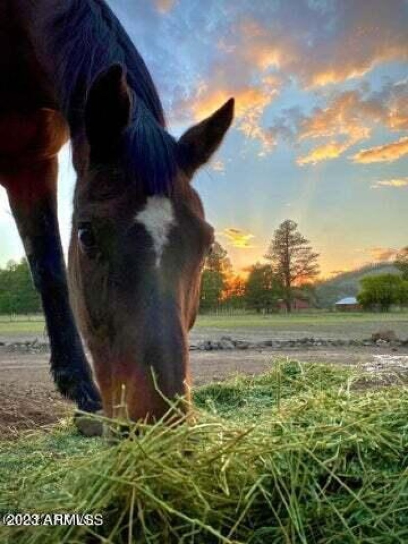 20230623164503619136000000-o