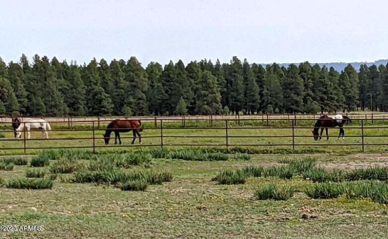 20230623164512710921000000-o