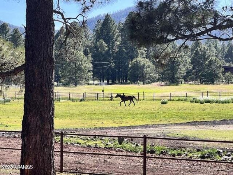 20230624044128310566000000-o