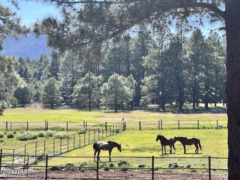 20230624044143661613000000-o