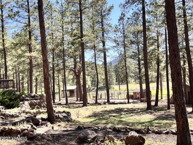 20230624044520411363000000-o