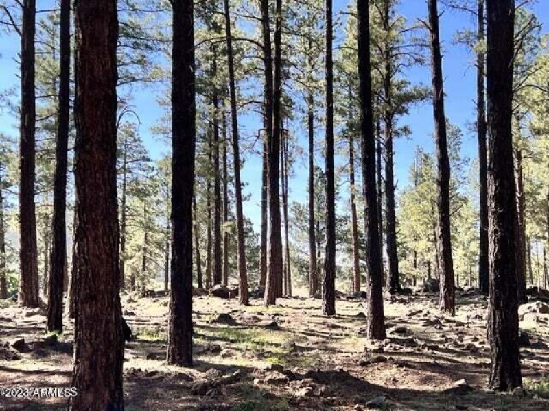 20230624044601041220000000-o