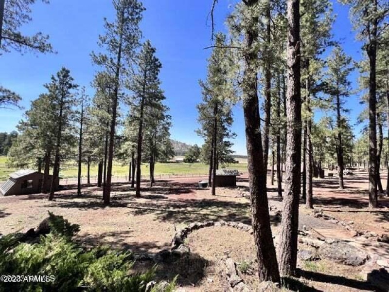 20230624044642475081000000-o