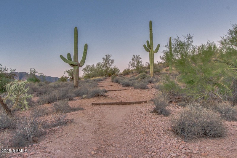 10_Walking Trails_Superstition Foothills