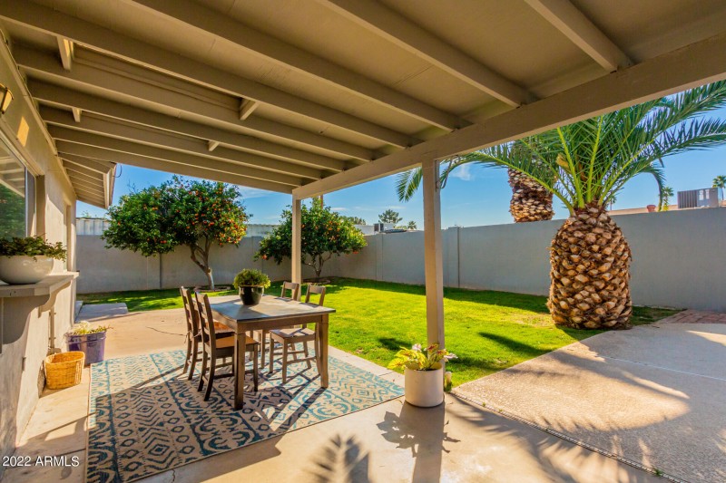 5337 E Gelding Back Yard