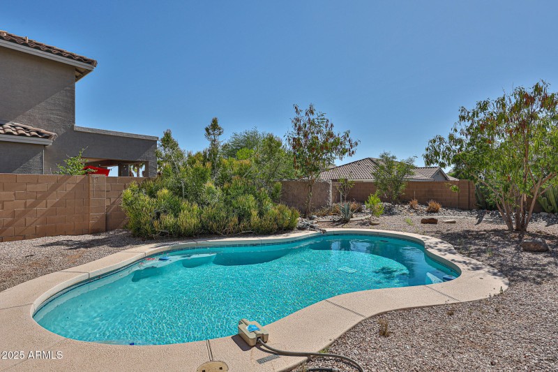 Entertainers backyard