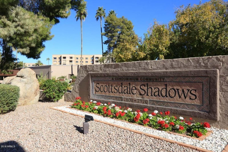 Scottsdale Shadows