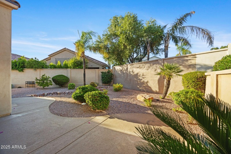 Mature Desert Landscape