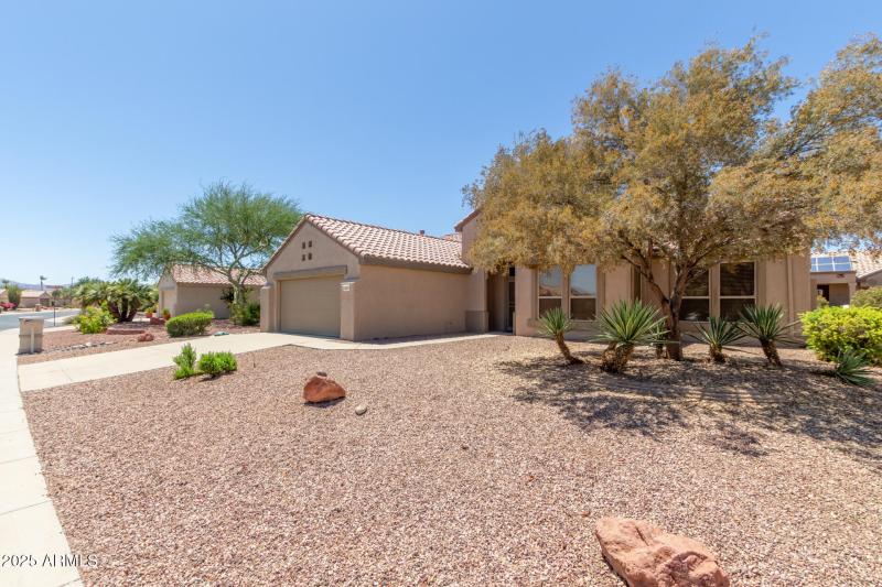 05 - Wildflower 15874