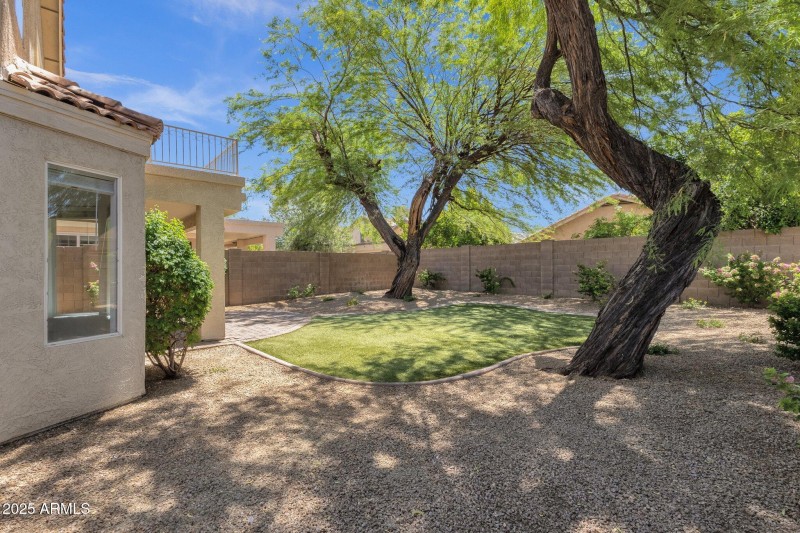 Low Maintenance Backyard