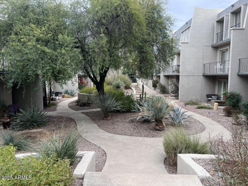 5BB3237D-3222-4788-BF78-6BE40341162A_1_1