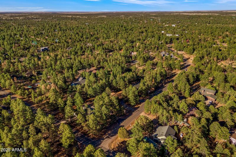 2202ForestParkDr-Heber-AZ-46