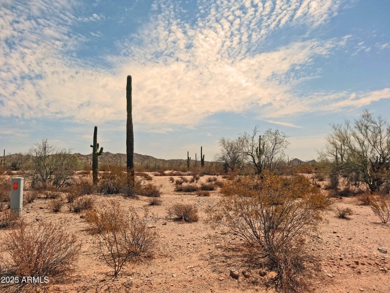 Wide Open Spaces!