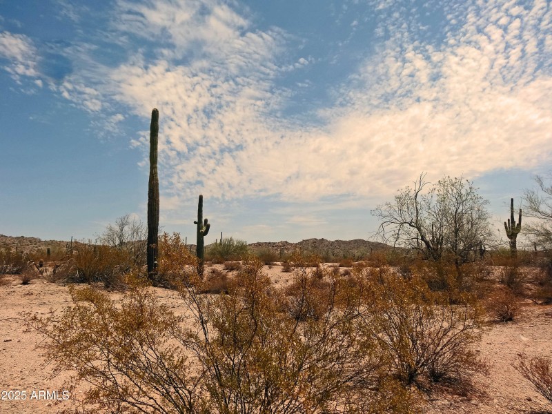 3.51 Acres