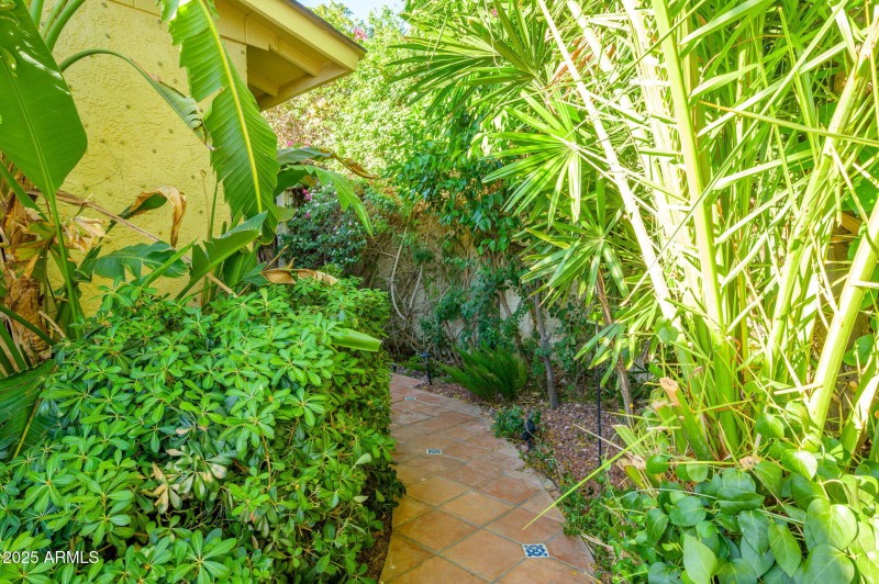 31-web-or-mls-Crocus-37