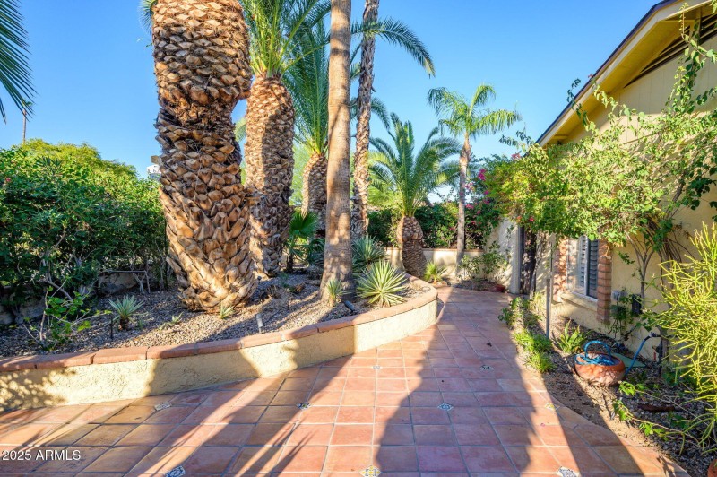 36-web-or-mls-Crocus-41