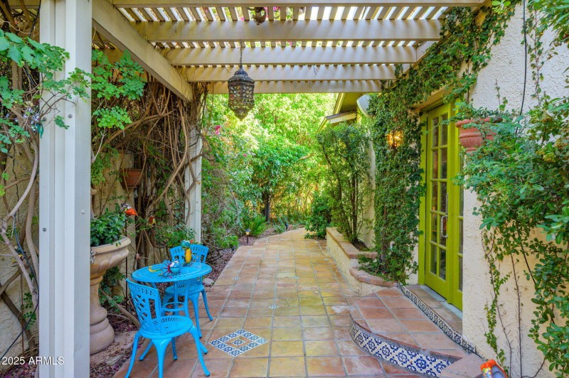 42-web-or-mls-Crocus-47