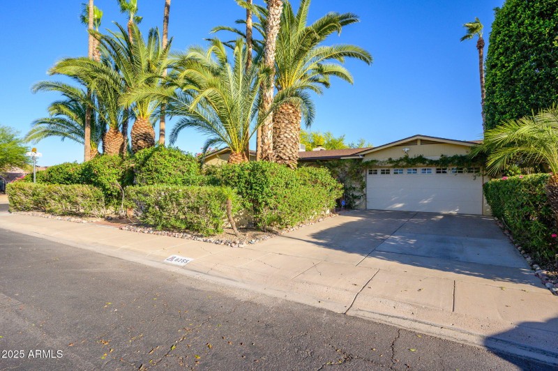 46-web-or-mls-Crocus-50