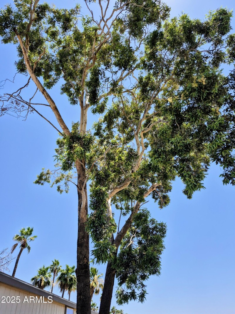 719dfbd7-a936-4b83-b7b7-d1efb1044428~1