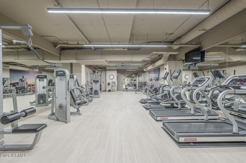 41-web-or-mls-3rd-41