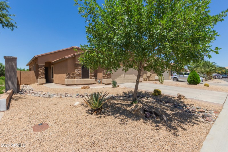 Nice, low maintenance landscaping