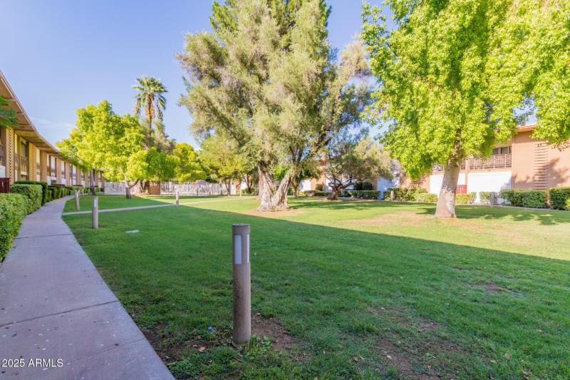 20 - Indian School 6125