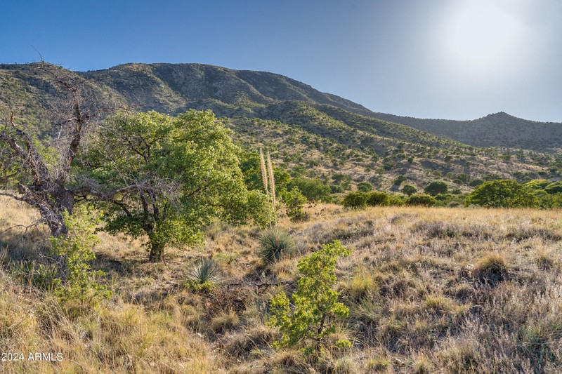 4 Acres, Ridge Rock Rd
