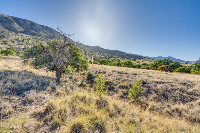 4 Acres, Ridge Rock Rd