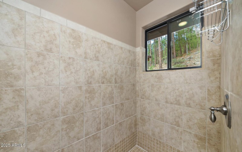 Primary Shower Natural Light