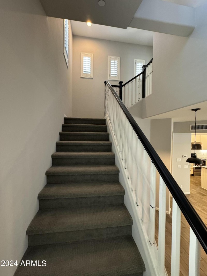 Photo May 23 2024, 10 52 04 AM