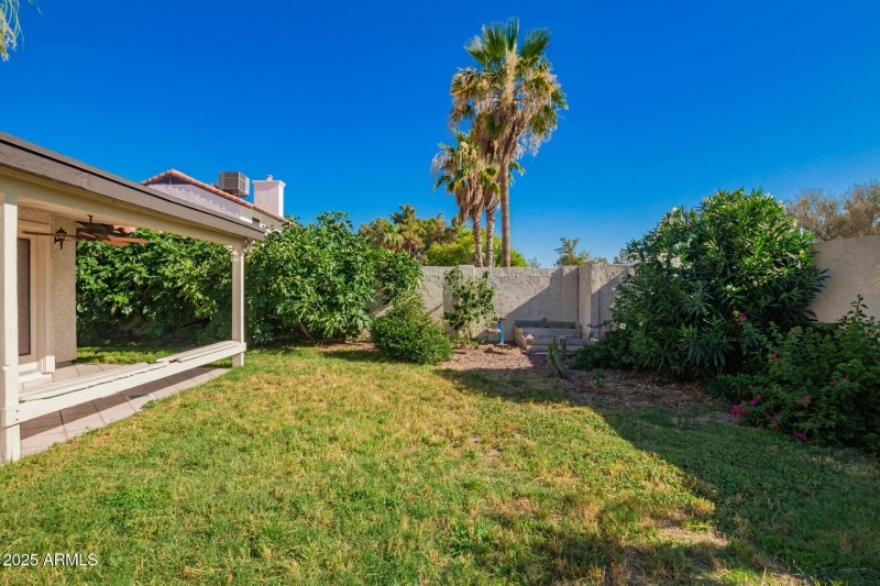 Backyard -Grass Area