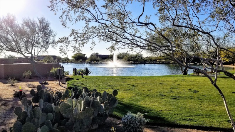 Dog park