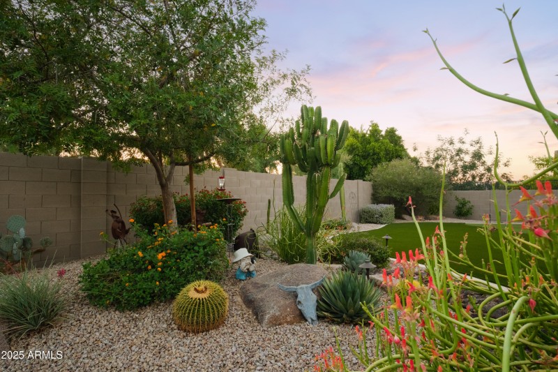 Mature Desert Foliage 40th way