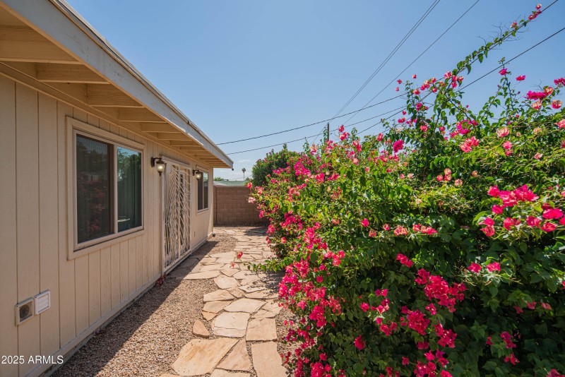 craigrootimaging_wva-12