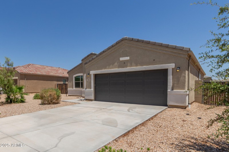 04 - Sunflower 11303