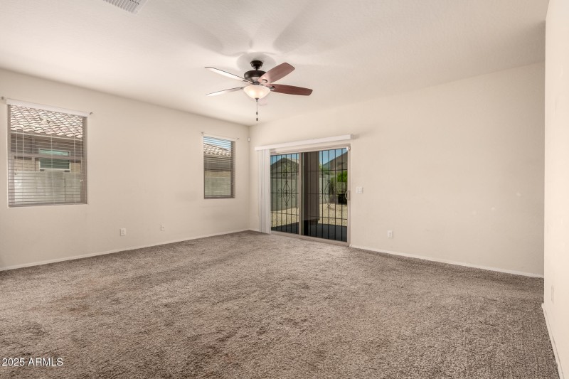 07 - Sunflower 11303