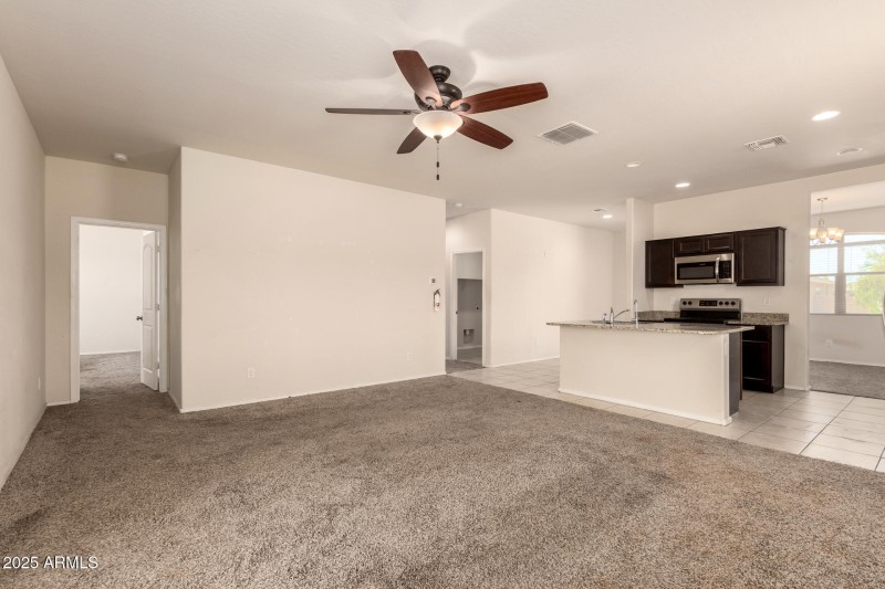 08 - Sunflower 11303