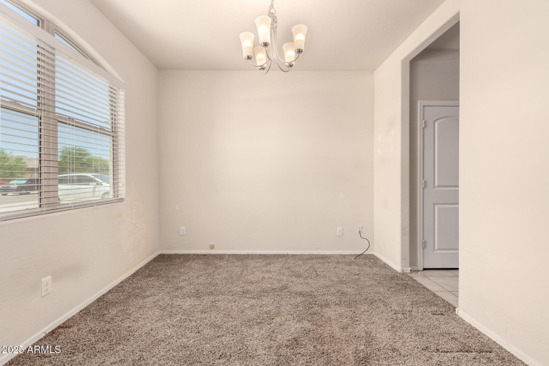 10 - Sunflower 11303