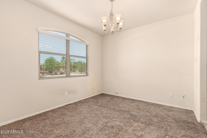 11 - Sunflower 11303