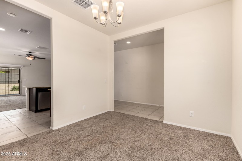 12 - Sunflower 11303