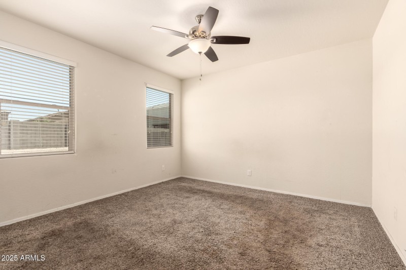 16 - Sunflower 11303