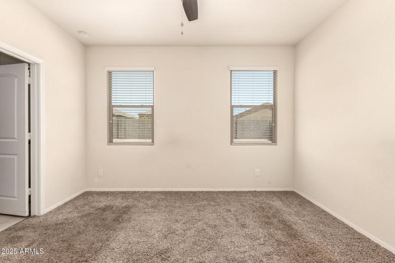 17 - Sunflower 11303