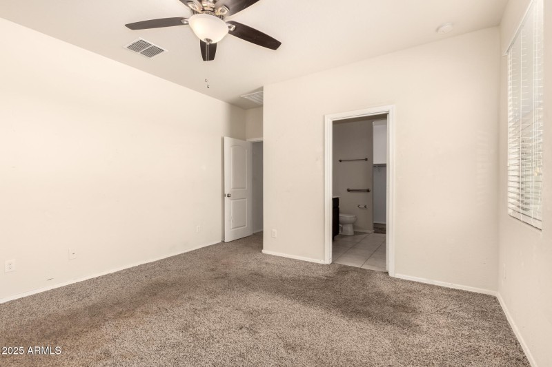 18 - Sunflower 11303