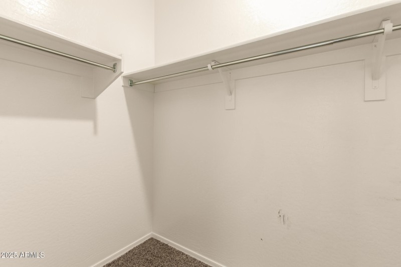 20 - Sunflower 11303