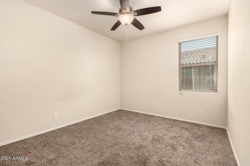 21 - Sunflower 11303