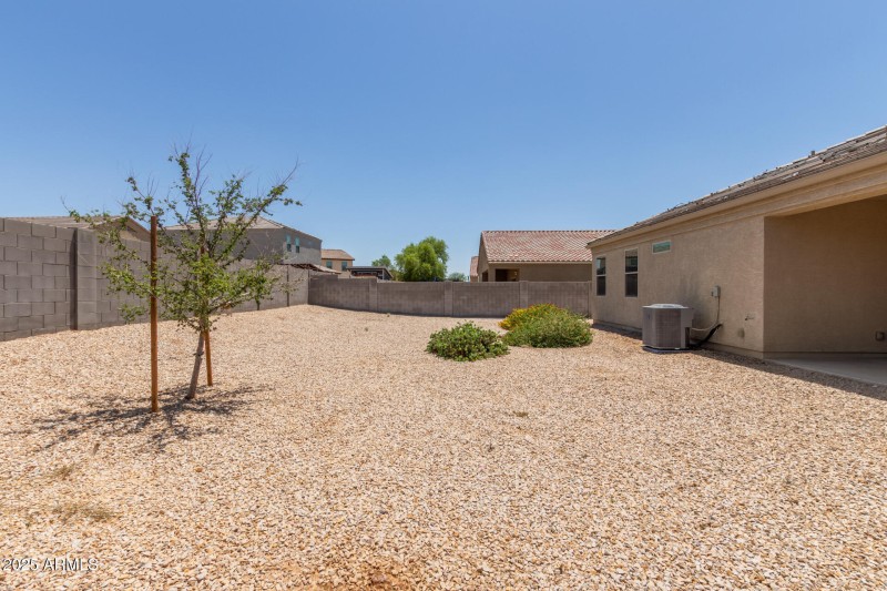 30 - Sunflower 11303