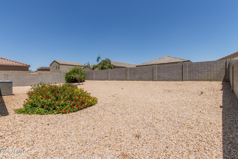 32 - Sunflower 11303