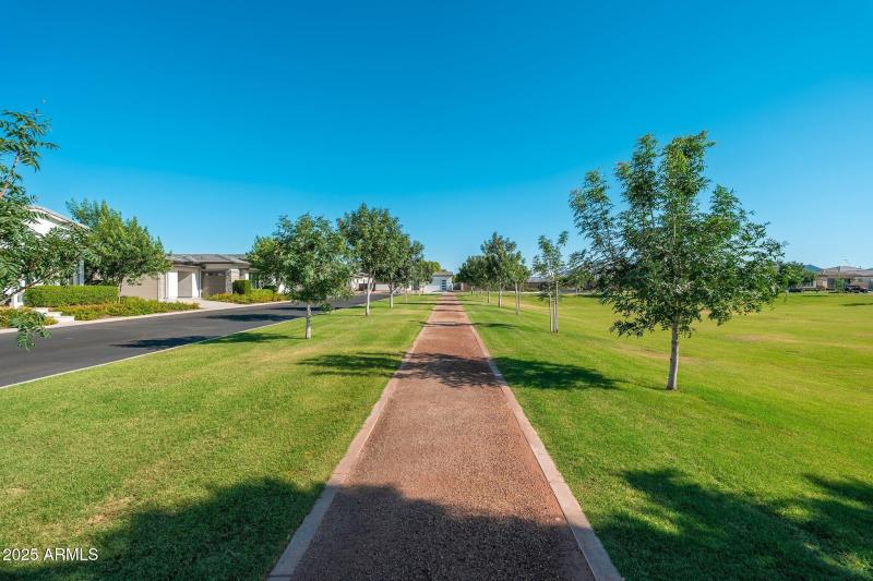 Caleda by Toll Brothers - 06