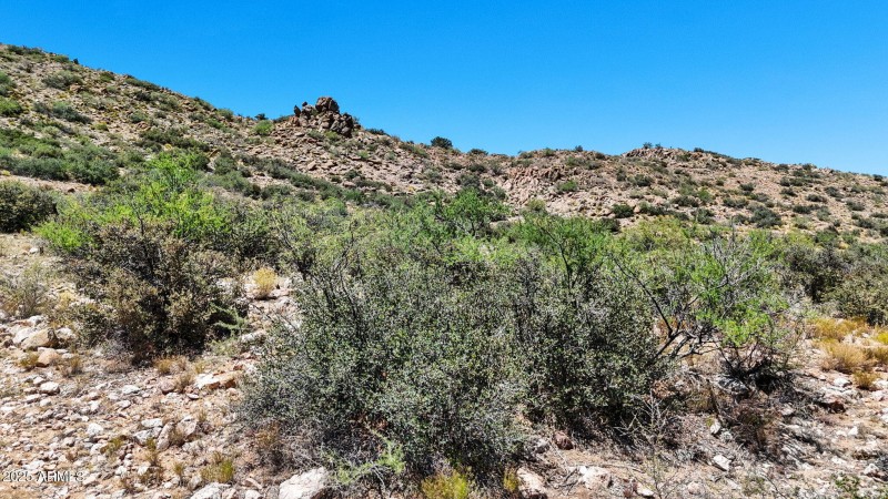 7-Lot Photo_2