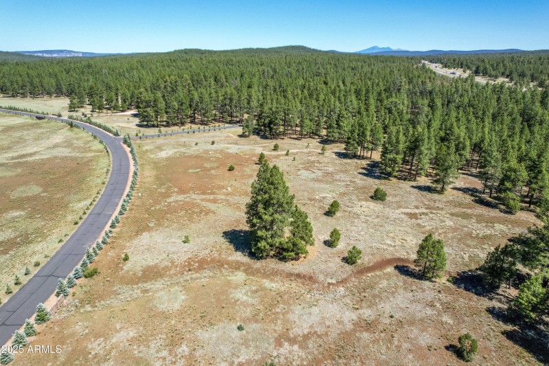 DJI_0036